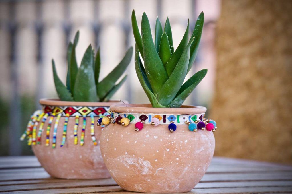 Decoración de restaurantes mexicanos con plantas